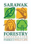 Miri the Centre of Sarawak’s Tourist Attractions